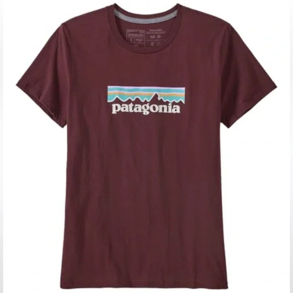 Patagonia P-6 Logo Organic Cotton Crew Tee - Picture 1 of 10